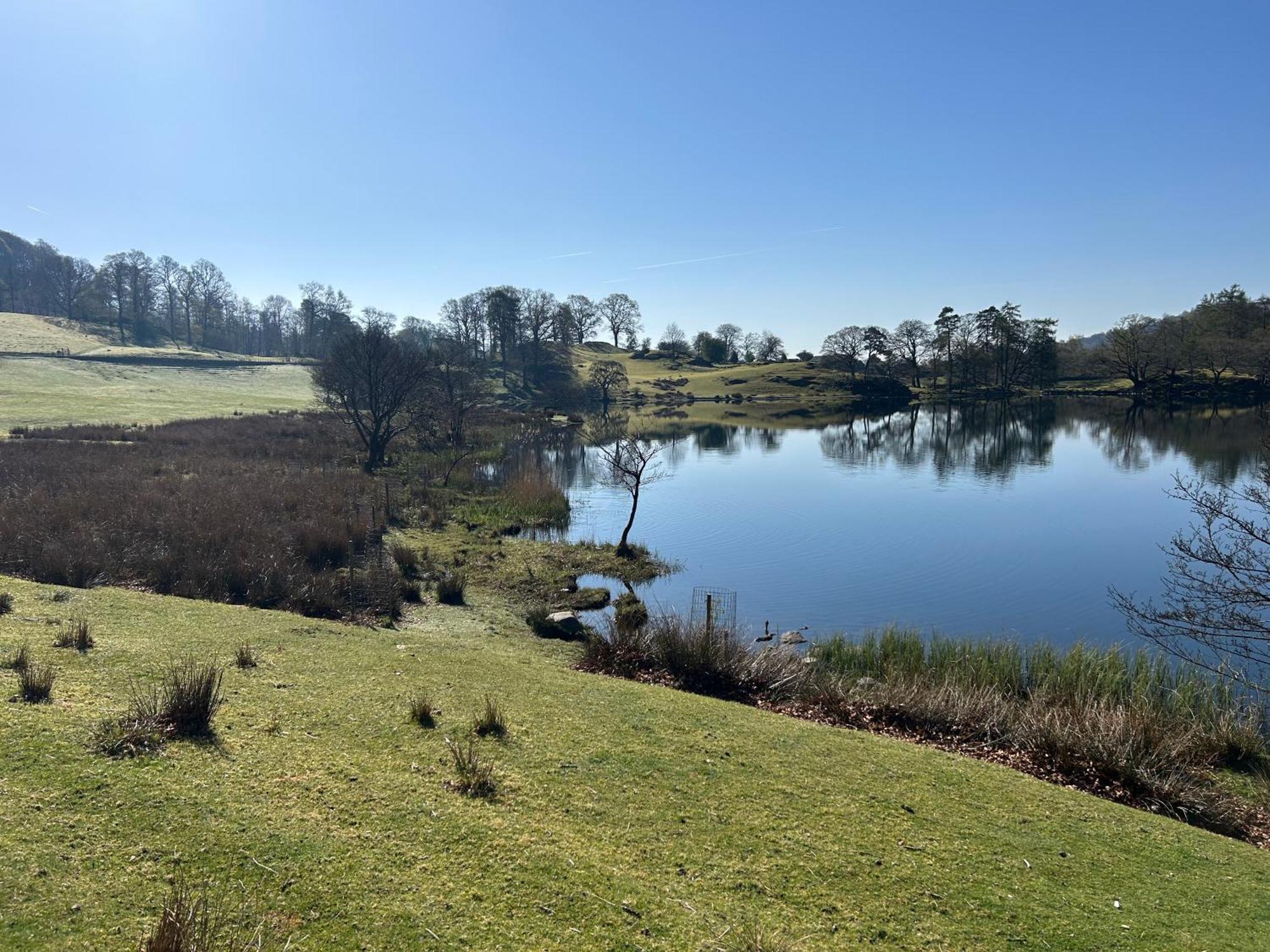 Puddleduck Villa Ambleside Eksteriør bilde